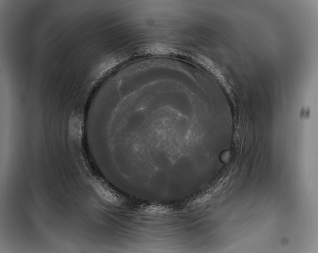 X0000100330063200806051544