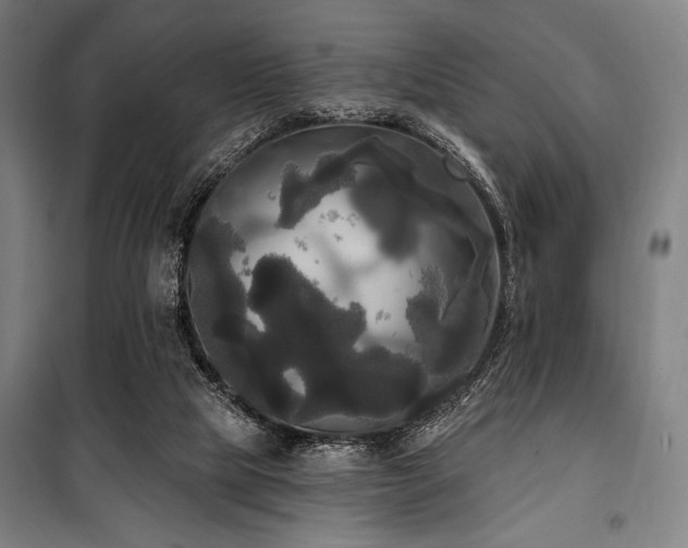 X0000100330065200806051544