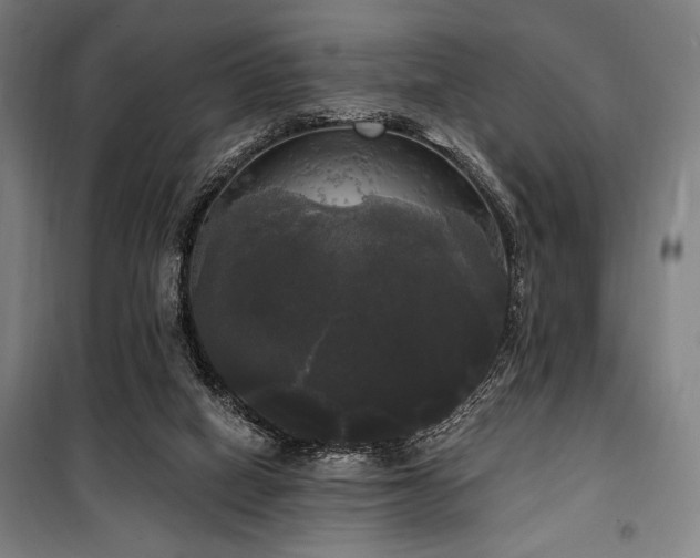 X0000100330066200806051544