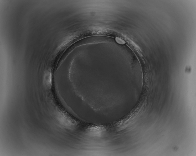 X0000100330067200806051544