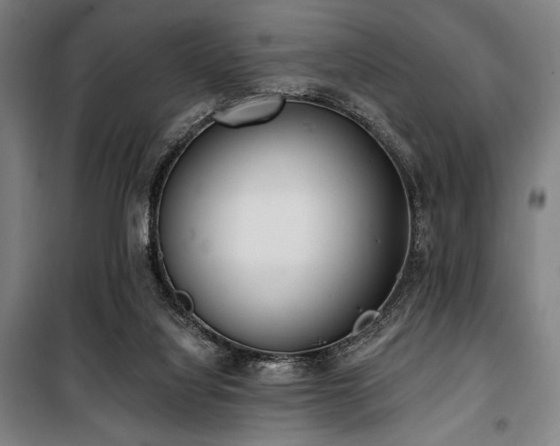 X0000100330068200806051544