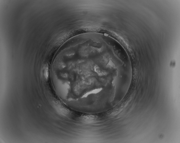 X0000100330069200806051544