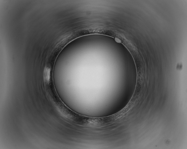 X0000100330070200806051544