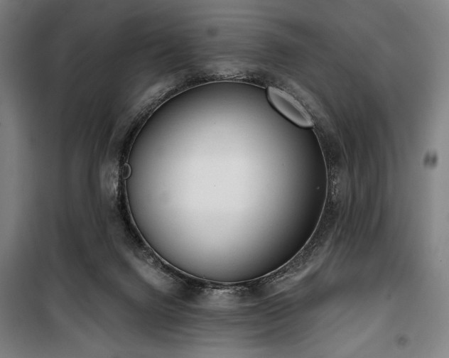 X0000100330072200806051544