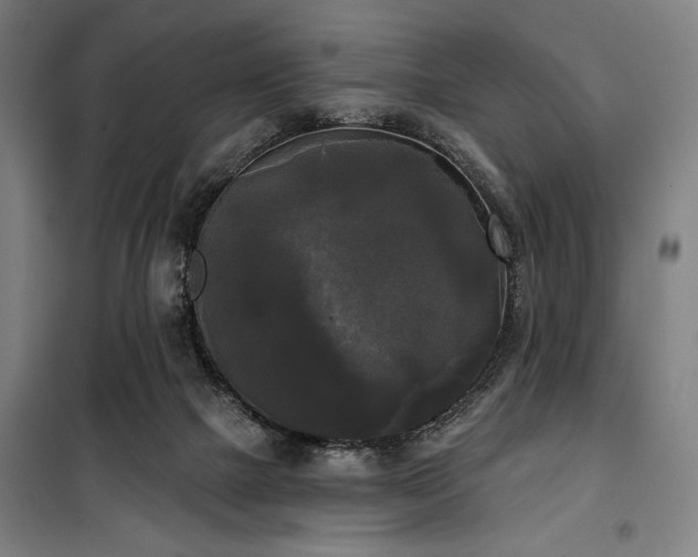 X0000100330073200806051544