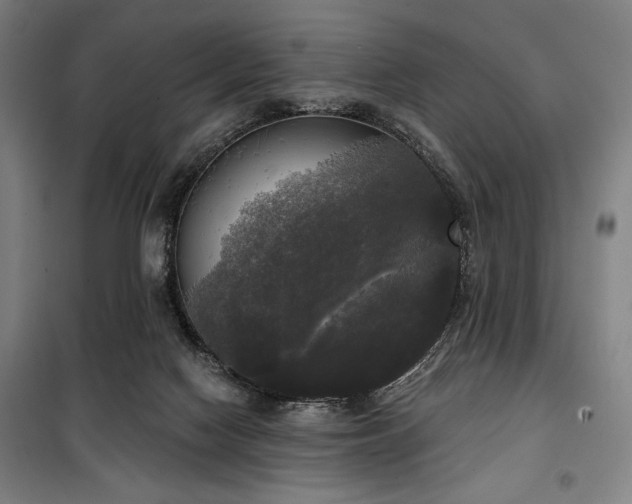 X0000100330074200806051544