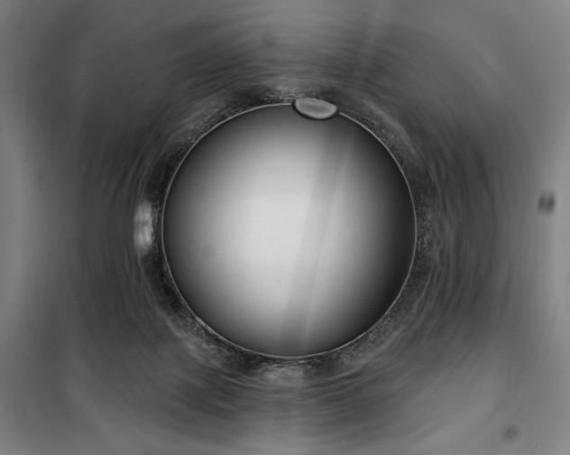 X0000100330075200806051544