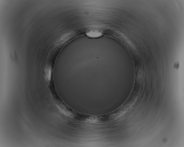 X0000100330076200806051544