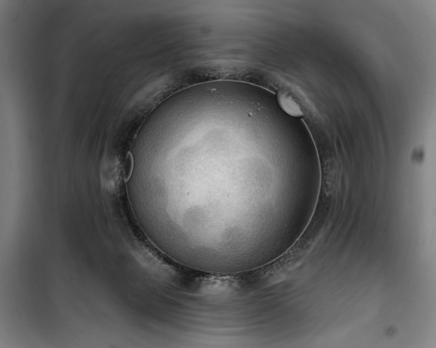 X0000100330077200806051544