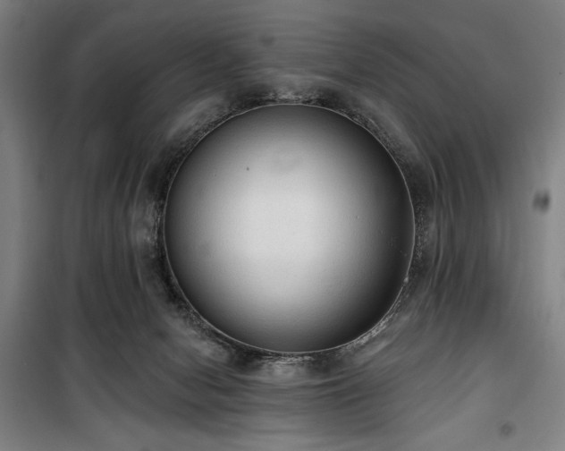 X0000100330078200806051544