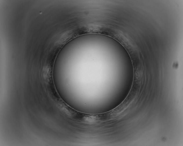 X0000100330079200806051544