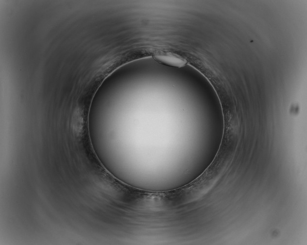 X0000100330080200806051544