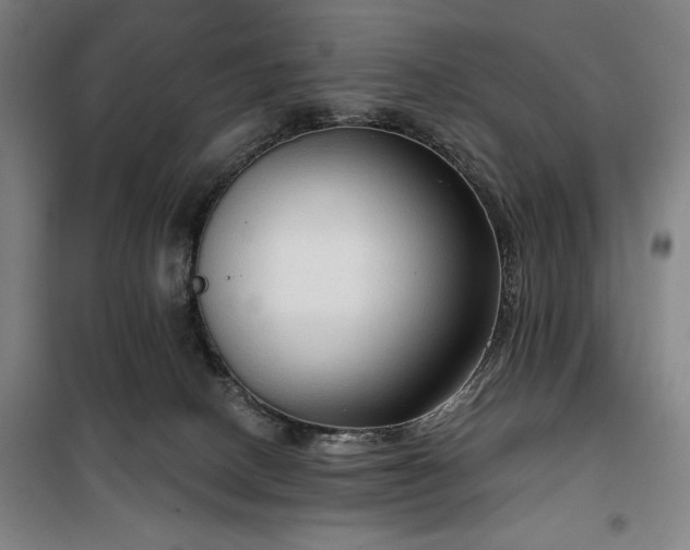 X0000100330082200806051544