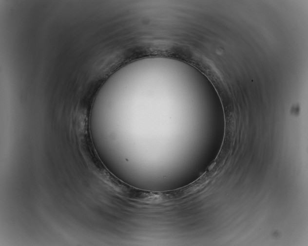 X0000100330083200806051544