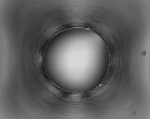 X0000100330084200806051544