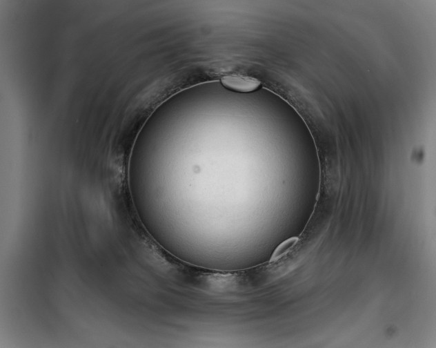 X0000100330085200806051544