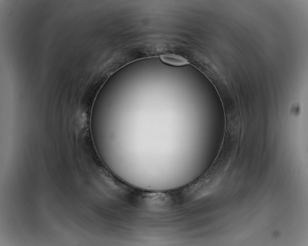 X0000100330087200806051544