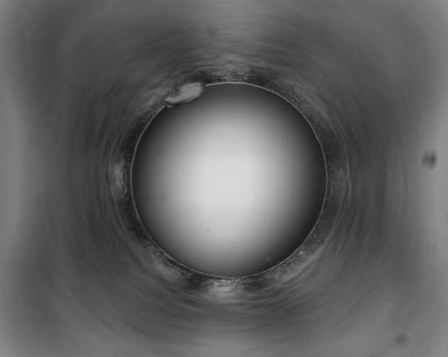 X0000100330088200806051544