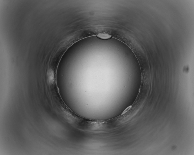 X0000100330089200806051544