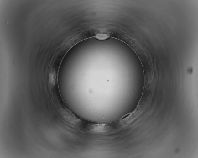 X0000100330090200806051544