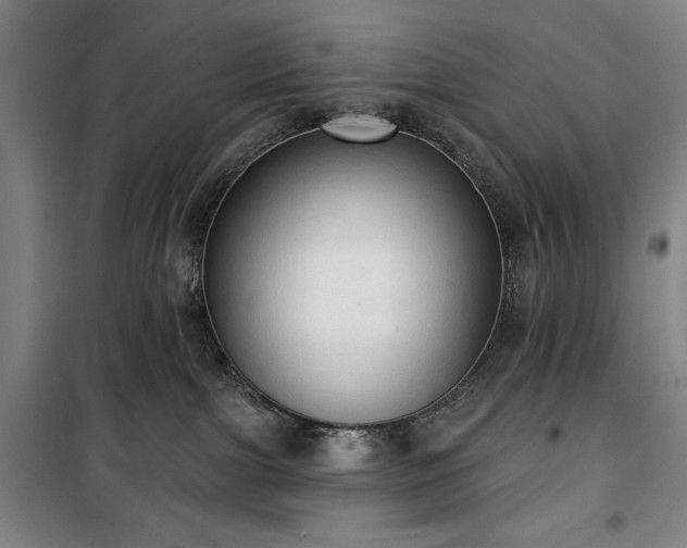 X0000100330091200806051544