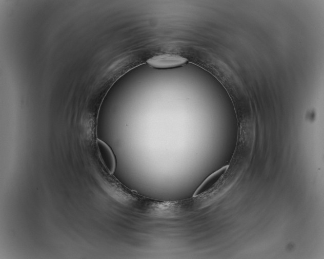 X0000100330092200806051544