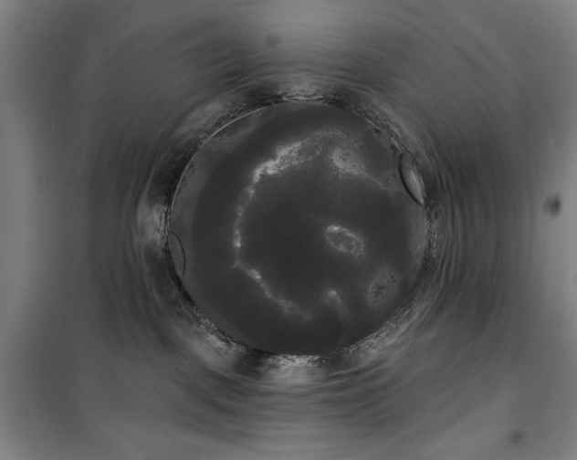 X0000100330093200806051544