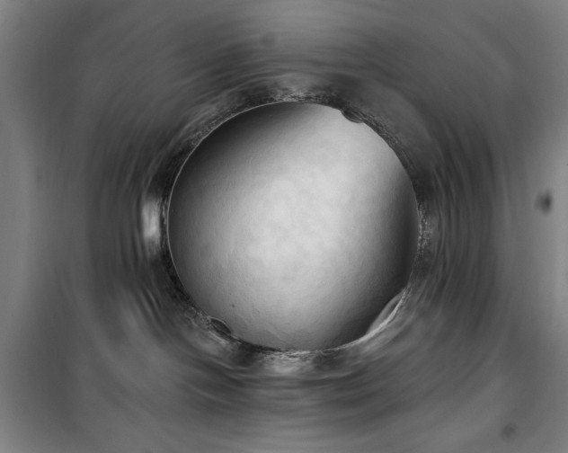 X0000100330094200806051544