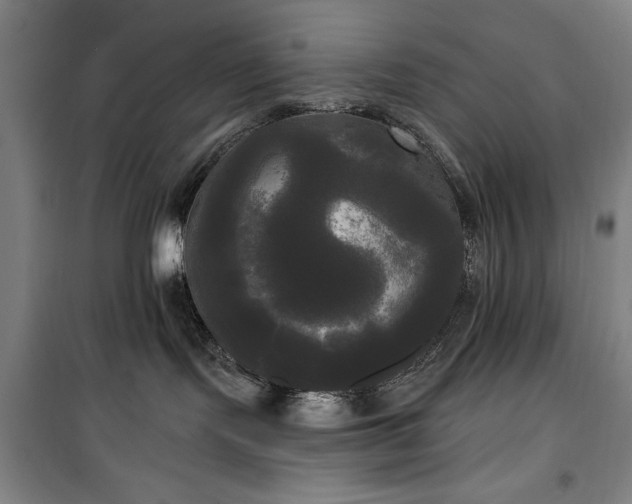 X0000100330095200806051544