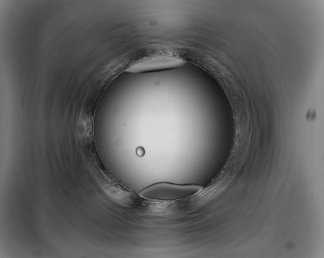 X0000100330096200806051544