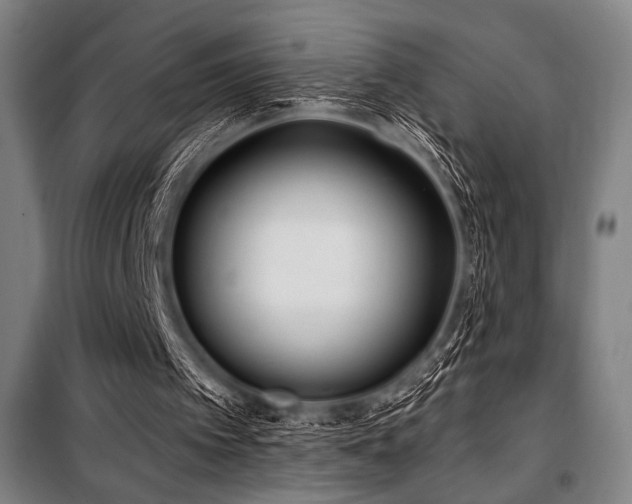 X0000100330097200806051544