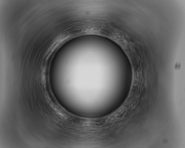 X0000100330098200806051544