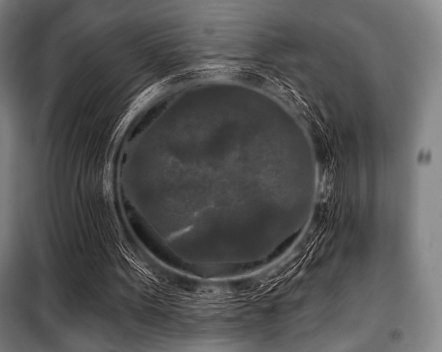 X0000100330099200806051544