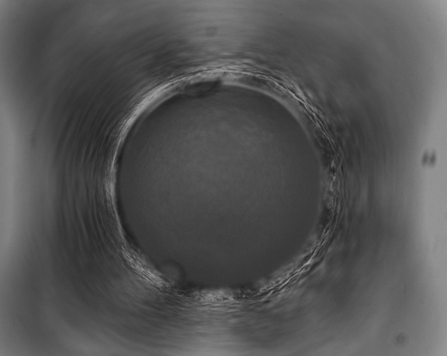 X0000100330100200806051544