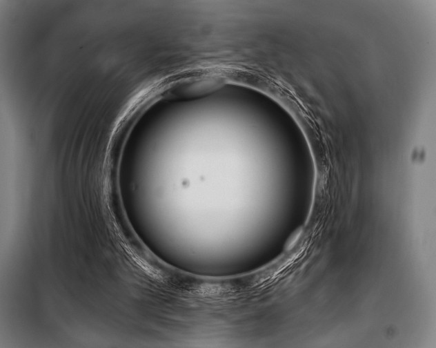 X0000100330101200806051543