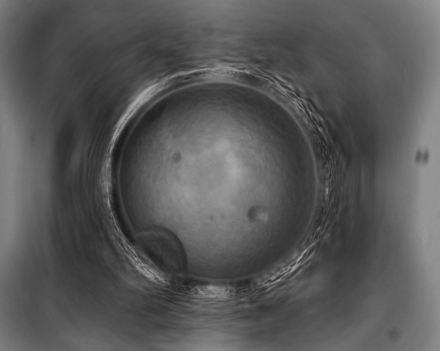 X0000100330102200806051543