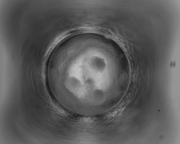 X0000100330103200806051543