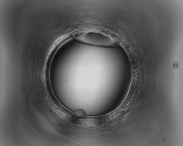 X0000100330104200806051543