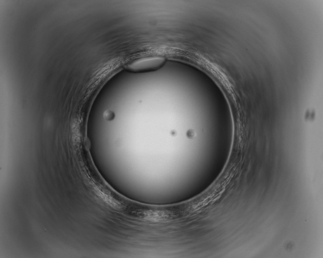 X0000100330105200806051543