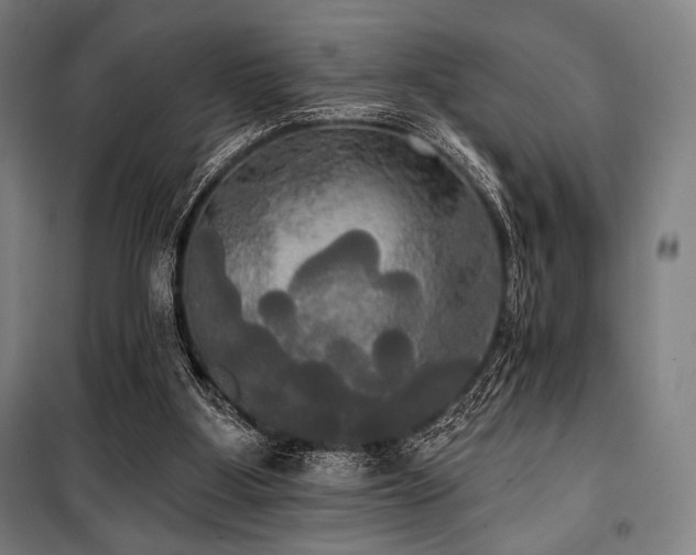 X0000100330107200806051543