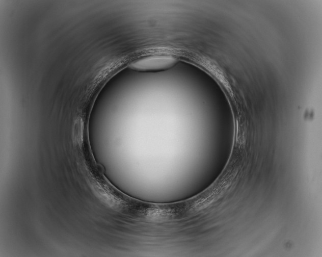 X0000100330109200806051543