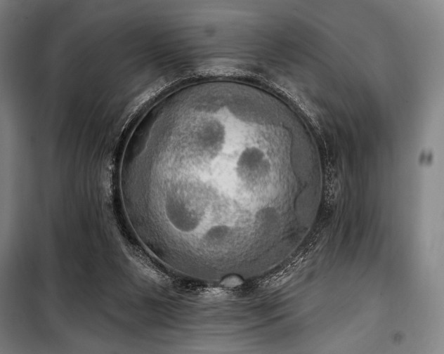 X0000100330111200806051543