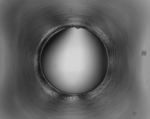 X0000100330112200806051543