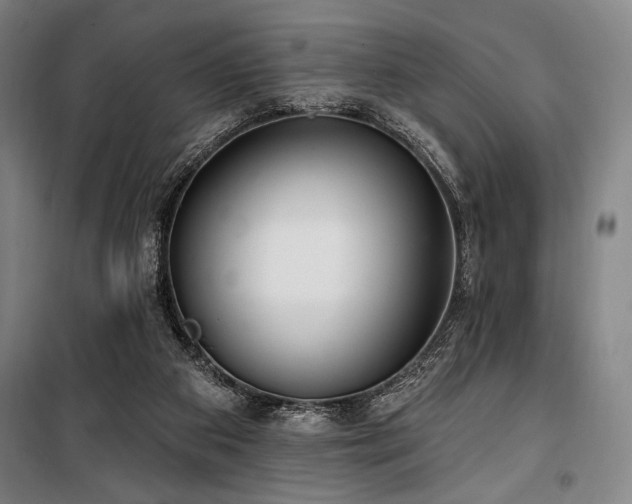 X0000100330113200806051543