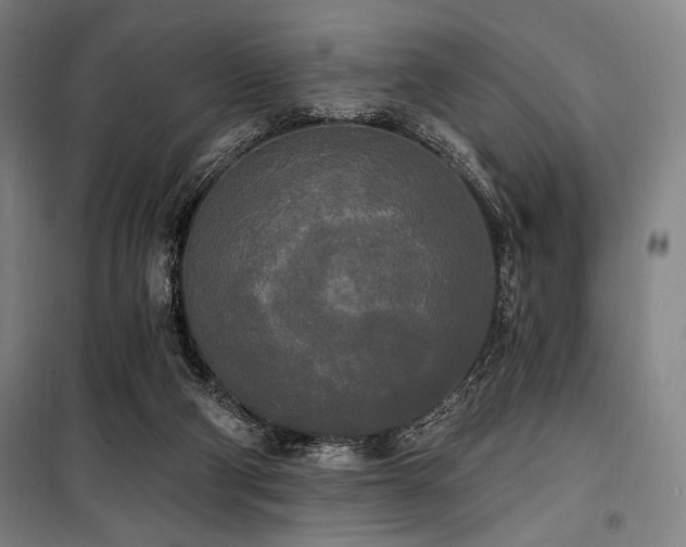 X0000100330114200806051543