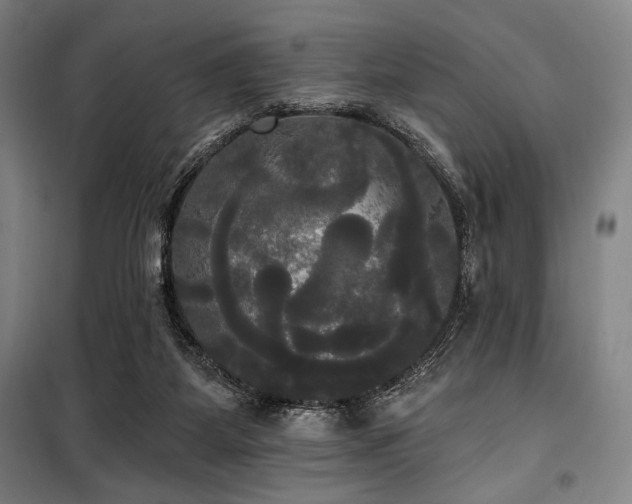 X0000100330115200806051543