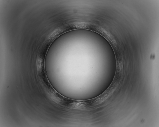 X0000100330117200806051543