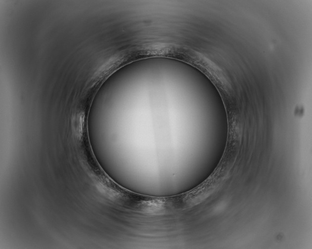 X0000100330118200806051543