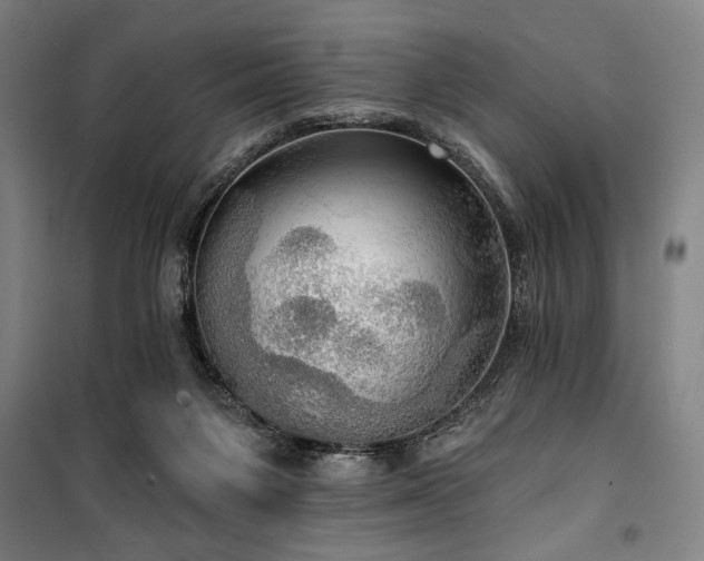 X0000100330119200806051543