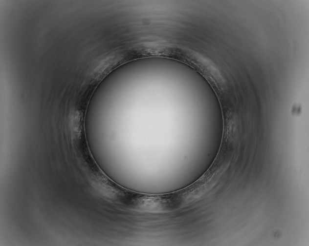 X0000100330121200806051543